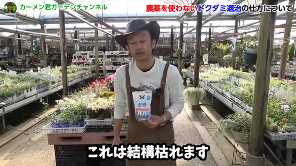 ドクダミの繁殖を除草剤なしで防ぐ方法の解説