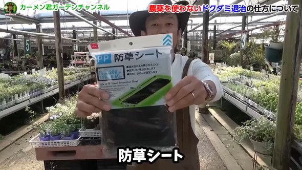 ドクダミの繁殖を除草剤なしで防ぐ方法の解説