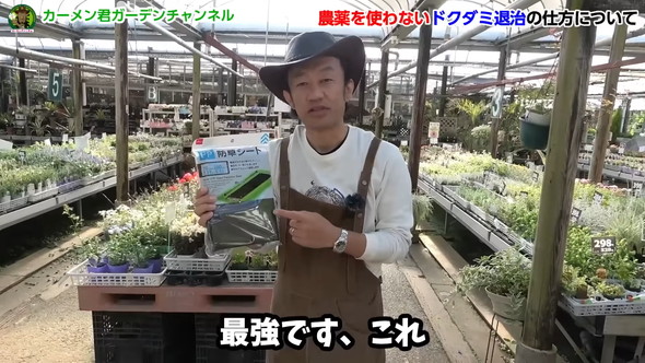 ドクダミの繁殖を除草剤なしで防ぐ方法の解説