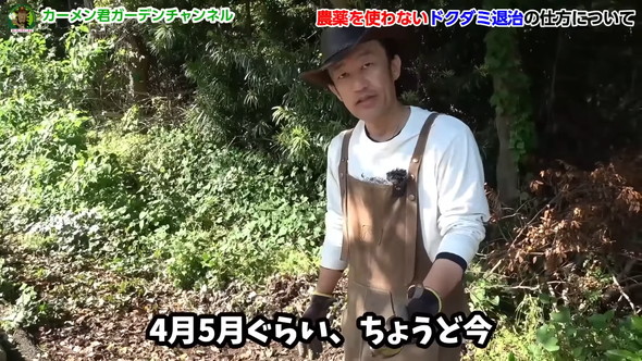 ドクダミの繁殖を除草剤なしで防ぐ方法の解説