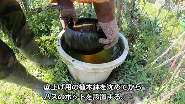 メダカビオトープの水替え