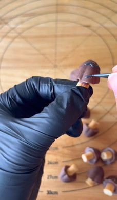 マリオの手作りクッキー