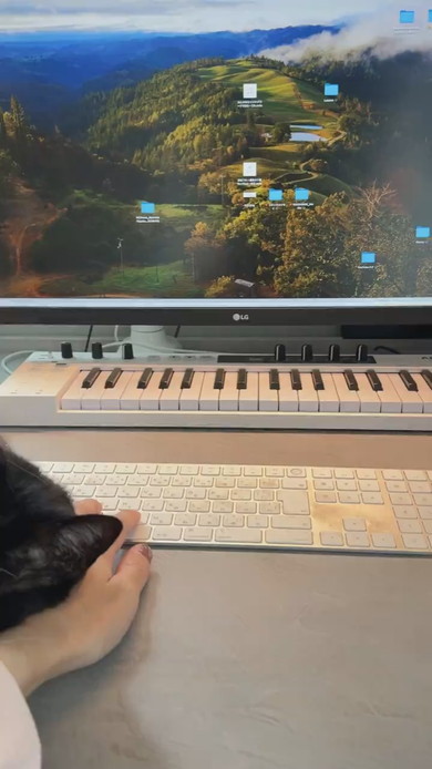 机上に猫ベッドを設置してもそこで寝ない猫ちゃんの様子