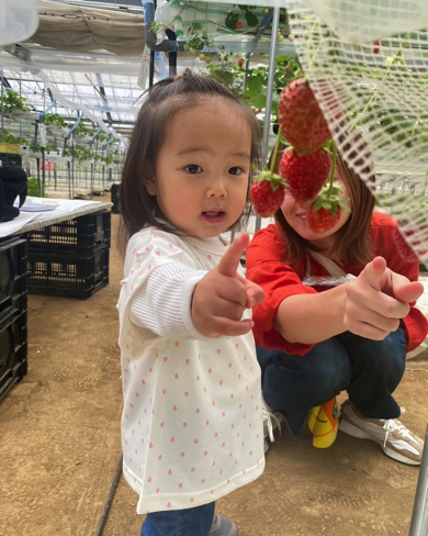 ばぁばとねぇねと一緒にいちご狩り