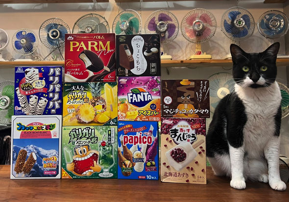 家に帰ったら幸せがいっぱい