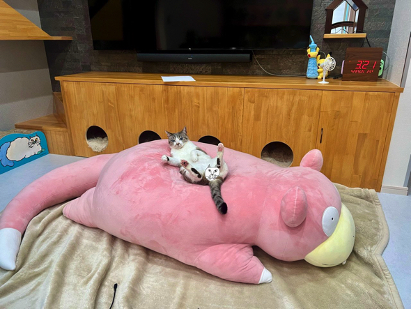 家に帰ったら幸せがいっぱい