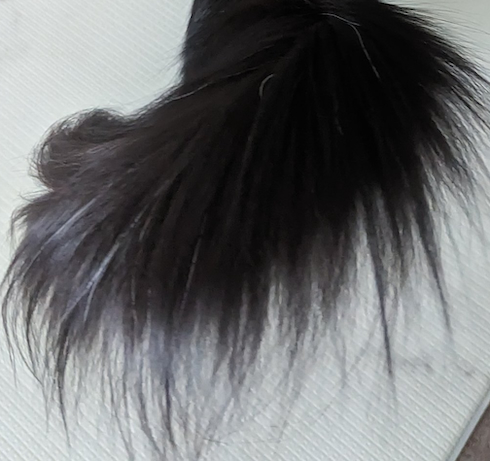 モアさんのしっぽ