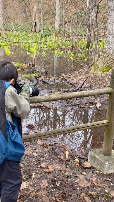 9歳のカメラマンが撮影したエゾリス