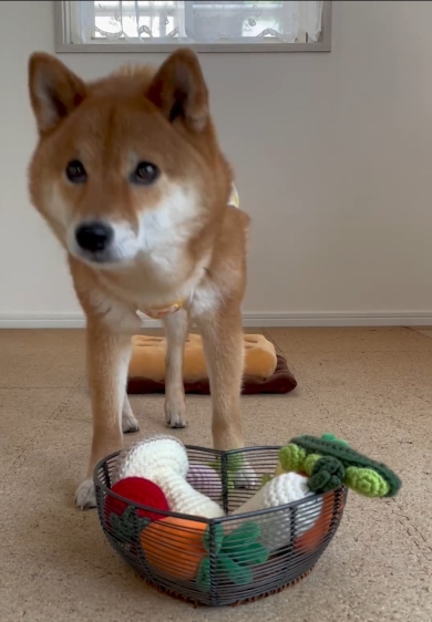 カブを落とすりな