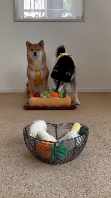 みくちゃんが収穫するのを待つりな