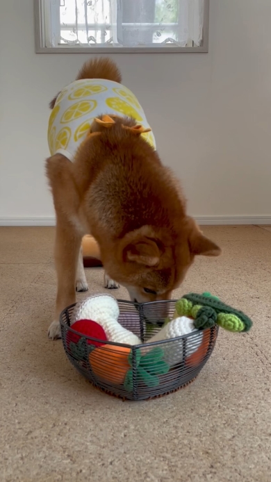 落としたカブを拾うりな