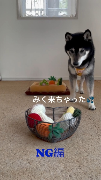 NGを出したみく