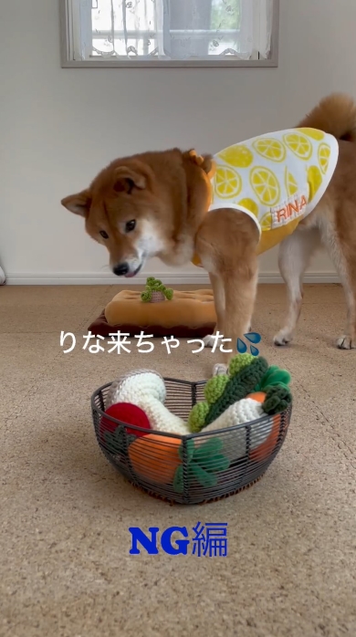 NGを出したりな