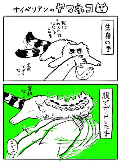 猫の漫画