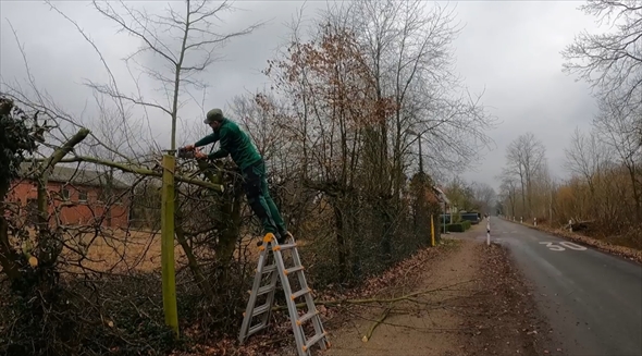 消防署 大清掃 ビフォーアフター