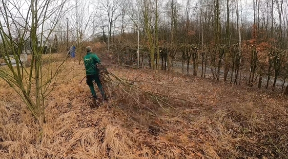消防署 大清掃 ビフォーアフター