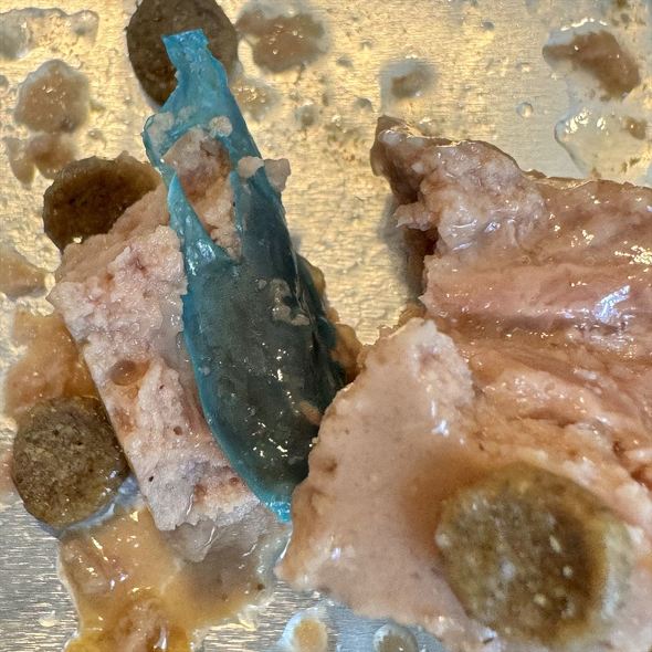 キャットフードに異物混入