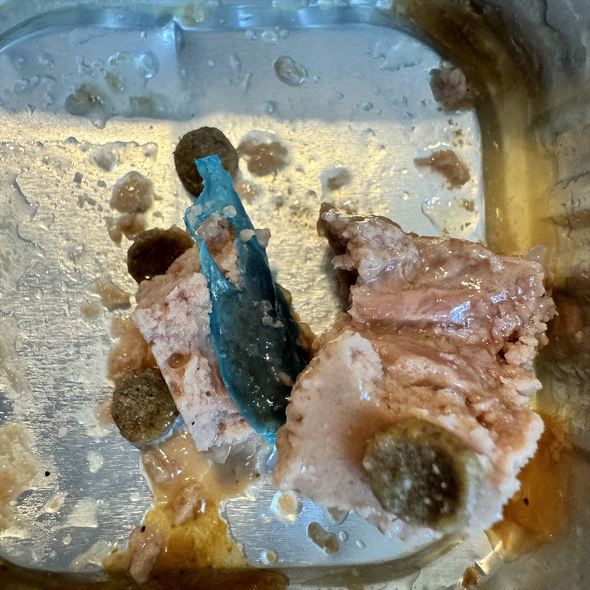 キャットフードに異物混入