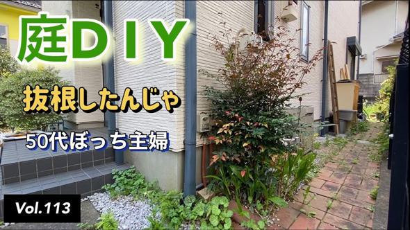 庭 南天の木 抜根 50代 主婦 DIY チャレンジ