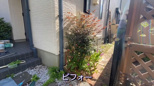 庭 南天の木 抜根 50代 主婦 DIY チャレンジ