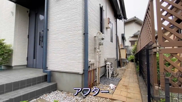 庭 南天の木 抜根 50代 主婦 DIY チャレンジ