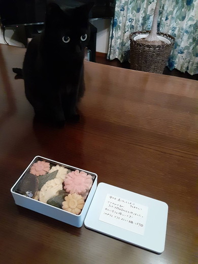 おすすめ