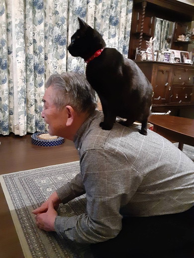 お父さんの背中に乗る黒猫ちゃん
