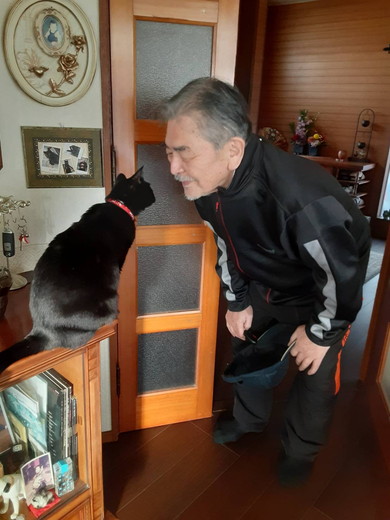 お父さんとあいさつを交わす黒猫ちゃん