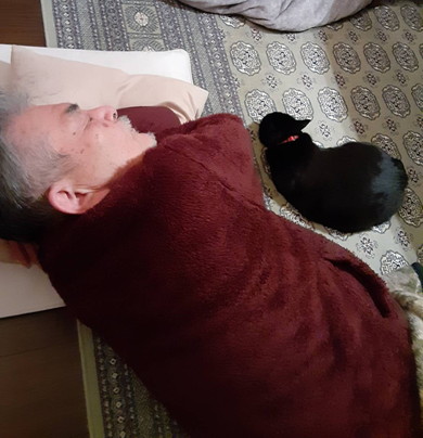 お父さんと一緒に寝る黒猫ちゃん