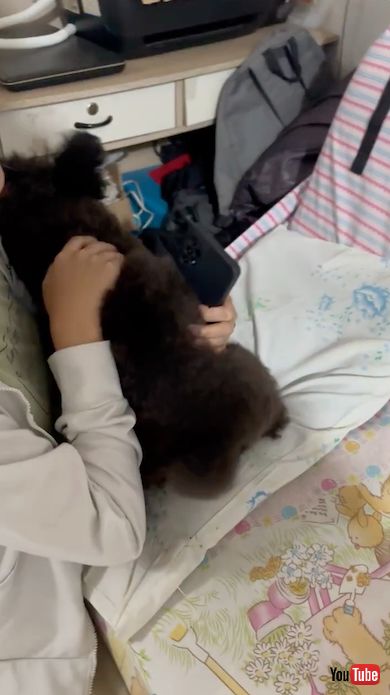 しっぽを振って喜ぶワンコ