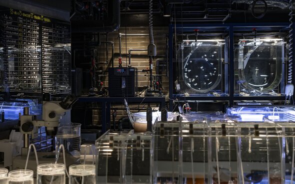 バイオハザードみたいな水族館03