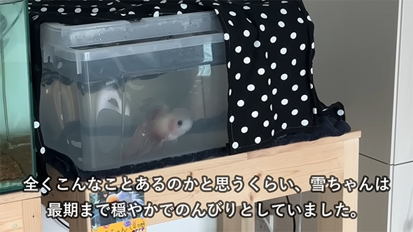 全くこんなことが