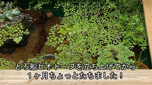 1カ月ちょっと経ちました