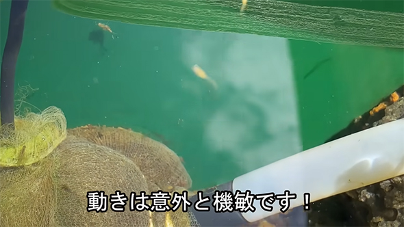 動きは意外と