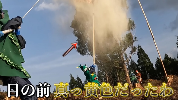 花粉 粉じん爆発 実験 スギ