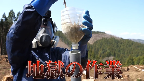 花粉 粉じん爆発 実験 スギ