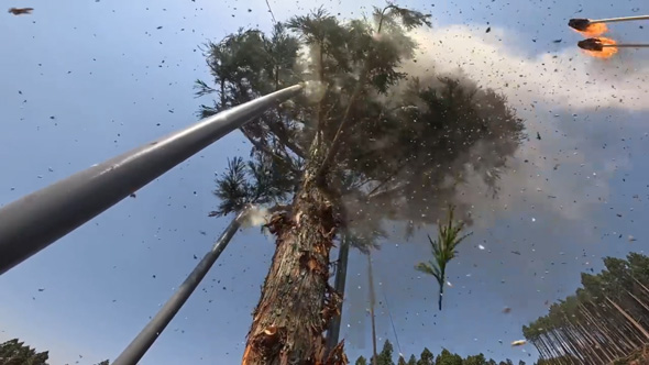 花粉 粉じん爆発 実験 スギ