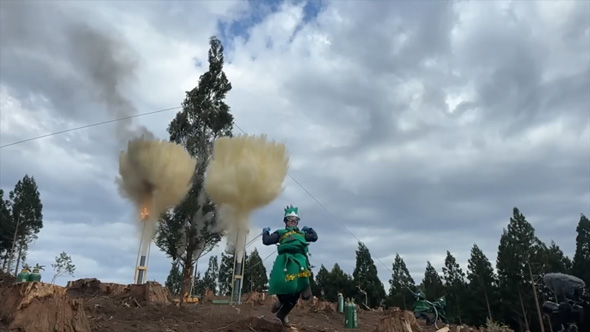 花粉 粉じん爆発 実験 スギ