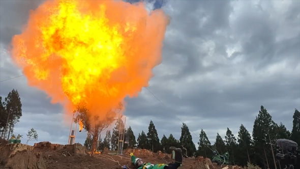 花粉 粉じん爆発 実験 スギ