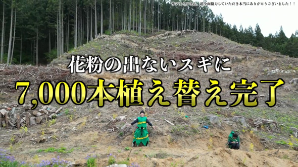 花粉 粉じん爆発 実験 スギ