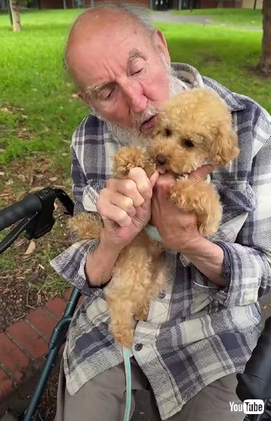 ワンコと高齢男性