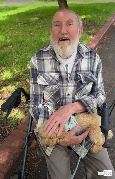 ワンコと高齢男性