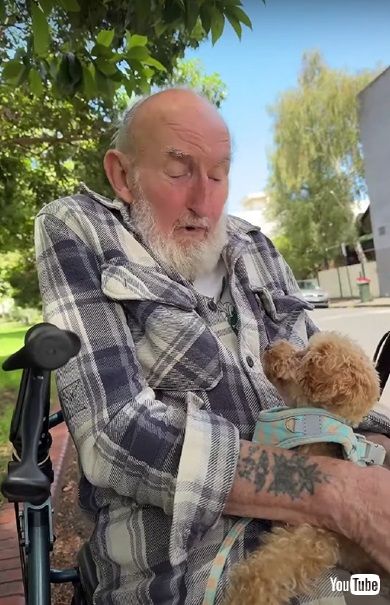 ワンコと高齢男性