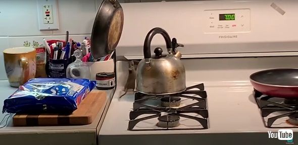 クッキーを盗むネズミ