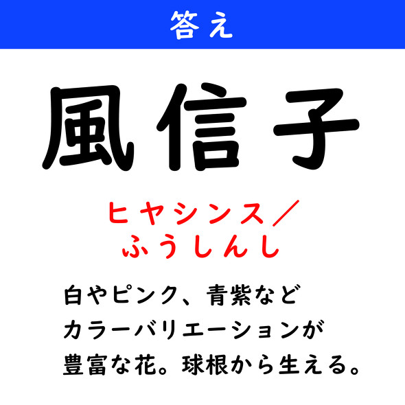 漢字クイズ　難読漢字　風信子