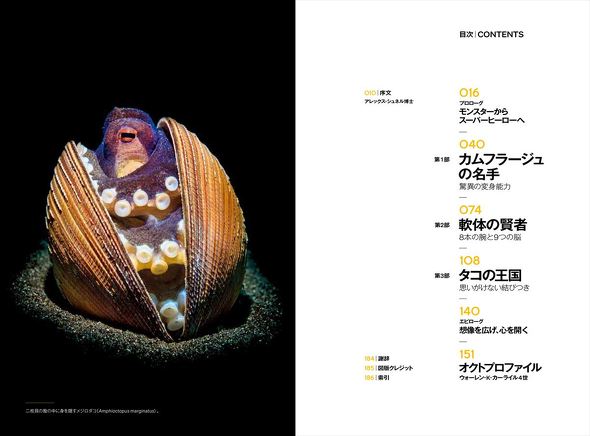 神秘なるオクトパスの世界