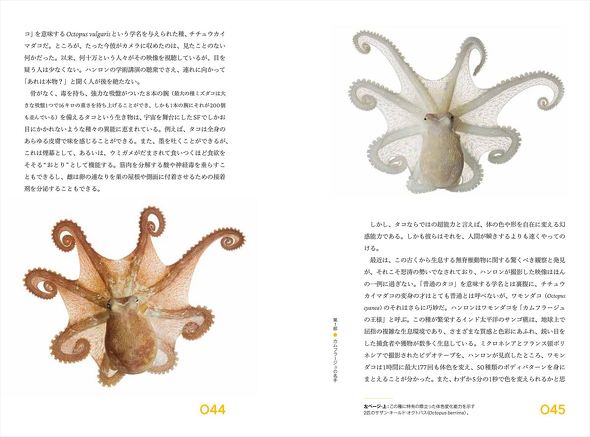 神秘なるオクトパスの世界