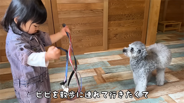 リードを持つ女の子