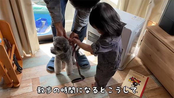 散歩の時間になるとこうして