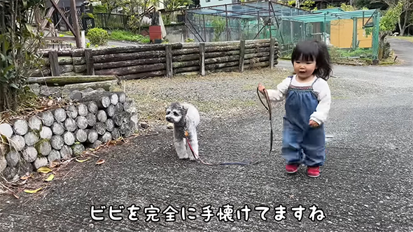 ビビちゃんを完全に